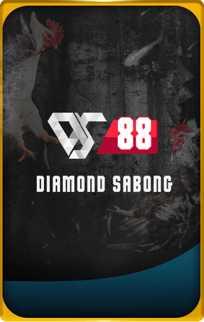 DS88